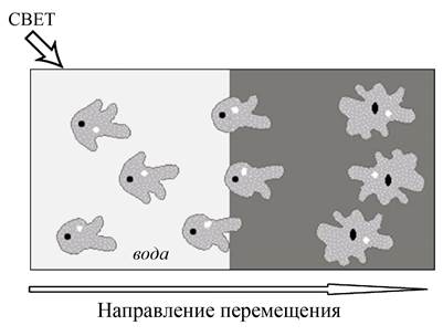 Рисунок к задаче