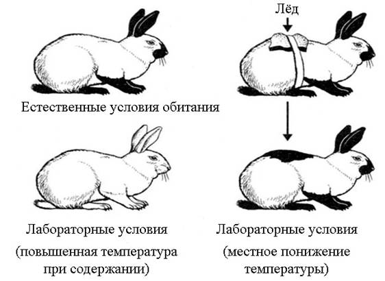 Рисунок к задаче