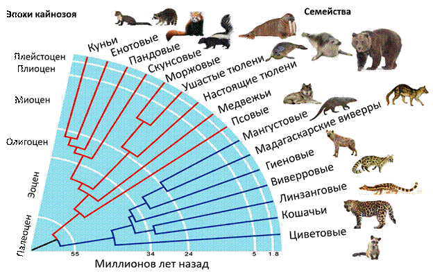 Рисунок к задаче