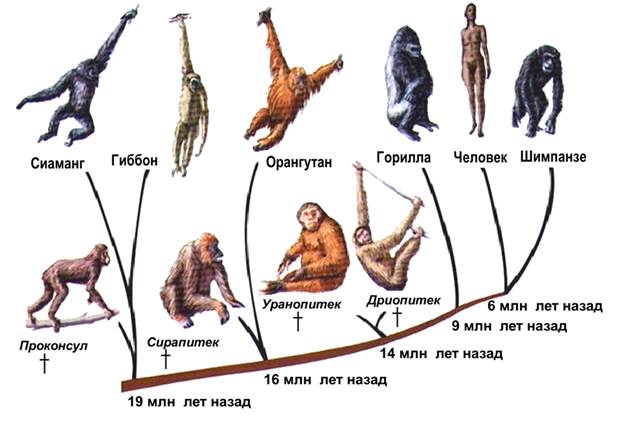 Рисунок к задаче