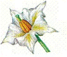 Рисунок к задаче