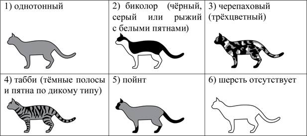 Рисунок к задаче