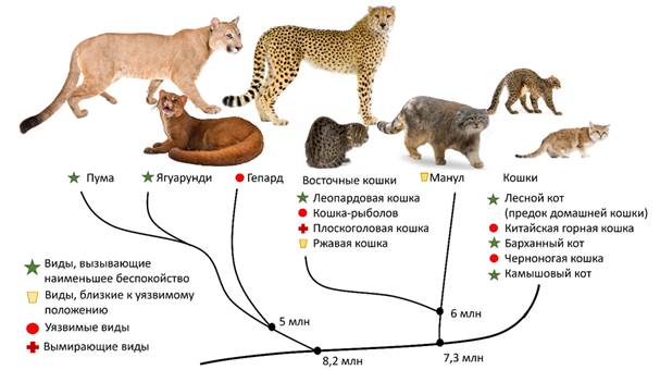 Рисунок к задаче