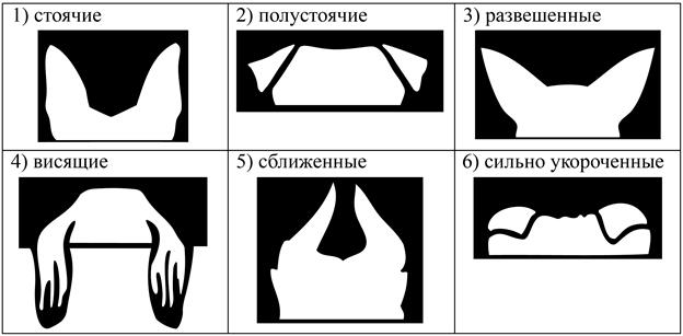Рисунок к задаче
