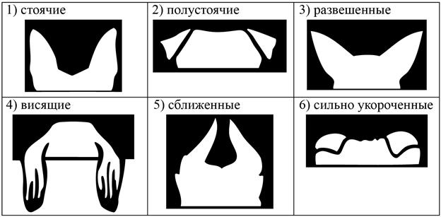 Рисунок к задаче