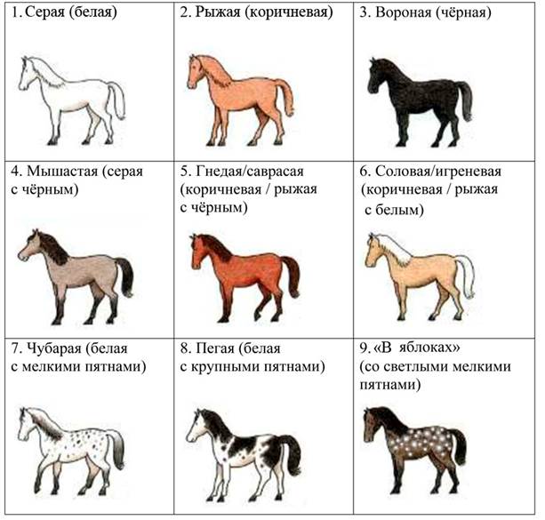 Рисунок к задаче