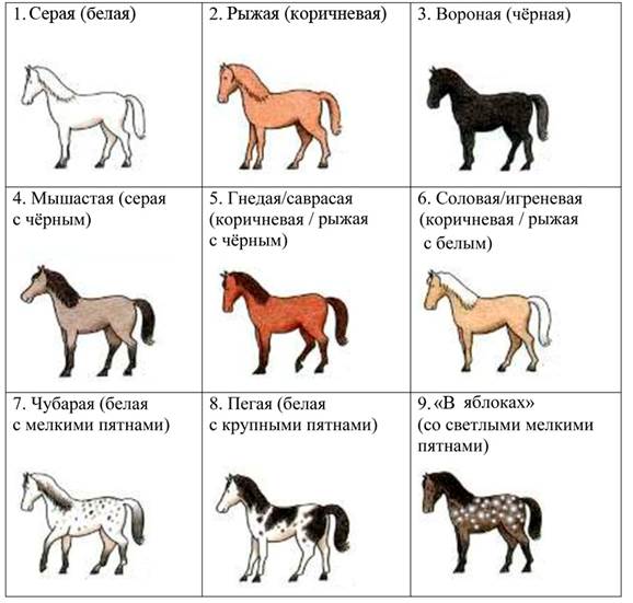 Рисунок к задаче
