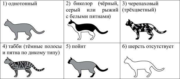 Рисунок к задаче