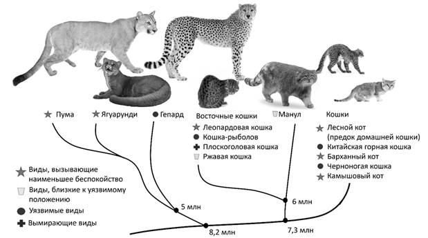 Рисунок к задаче
