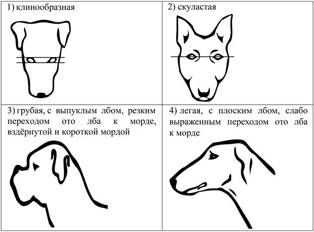 Рисунок к задаче