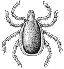 Рисунок к задаче