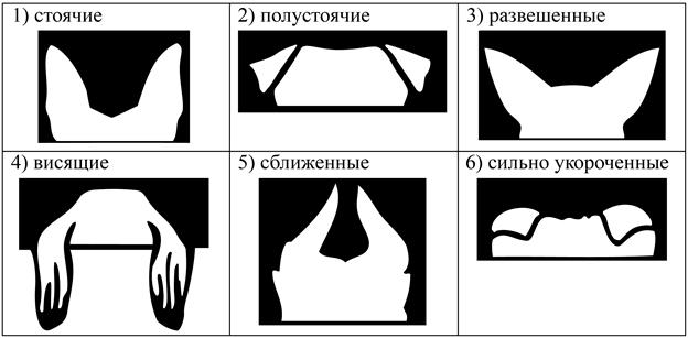 Рисунок к задаче