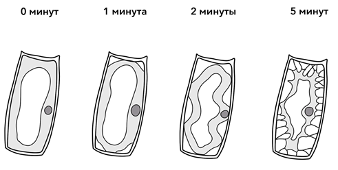 Рисунок к задаче