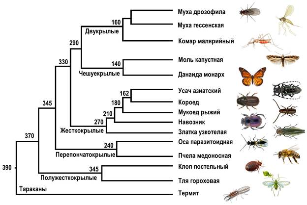 Рисунок к задаче
