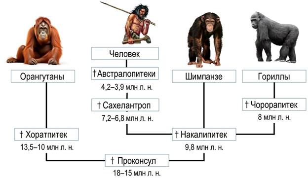 Рисунок к задаче