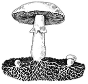 Рисунок к задаче
