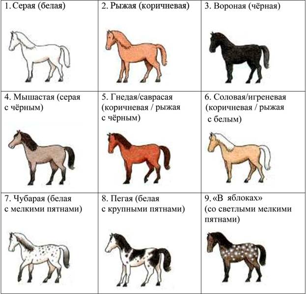 Рисунок к задаче