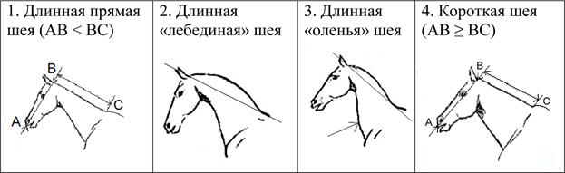 Рисунок к задаче