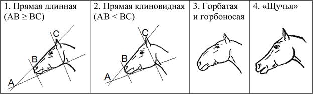 Рисунок к задаче