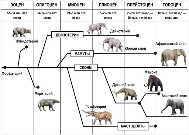 Рисунок к задаче