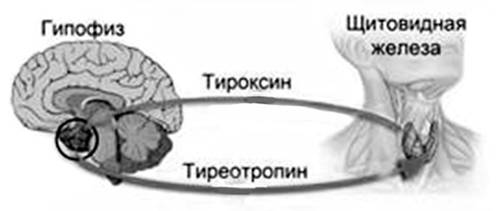 Рисунок к задаче
