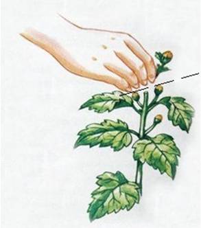 Рисунок к задаче