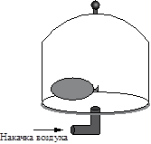 Рисунок к задаче