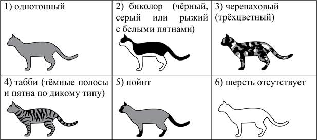Рисунок к задаче