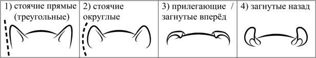 Рисунок к задаче