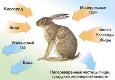 Рисунок к задаче