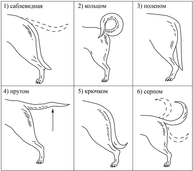 Рисунок к задаче