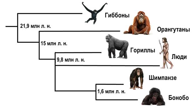 Рисунок к задаче
