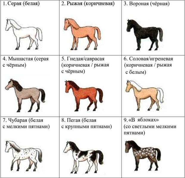 Рисунок к задаче
