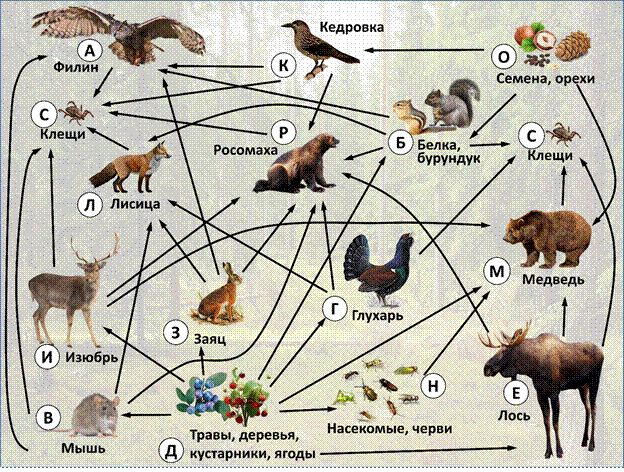 Рисунок к задаче