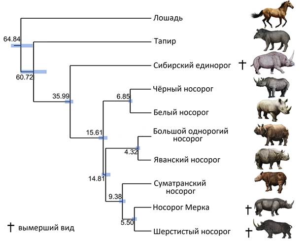 Рисунок к задаче