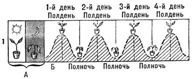 Рисунок к задаче