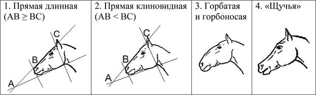 Рисунок к задаче