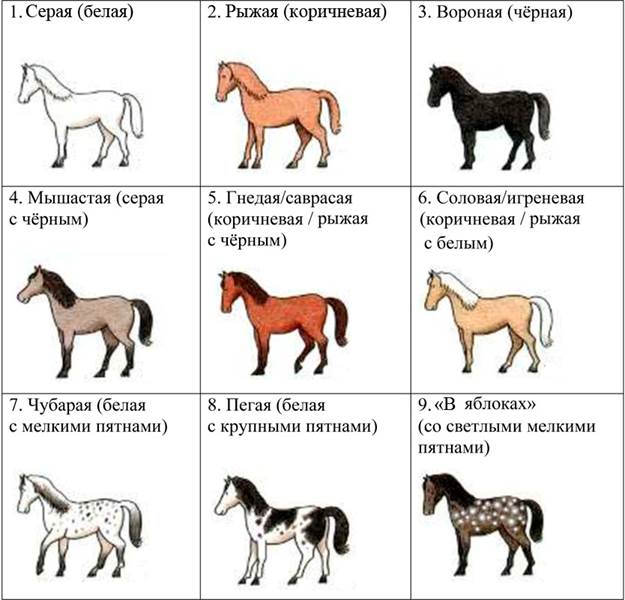 Рисунок к задаче