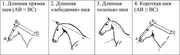 Рисунок к задаче