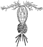 Рисунок к задаче