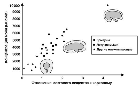 Рисунок к задаче