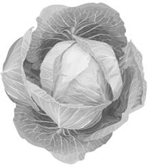 Рисунок к задаче
