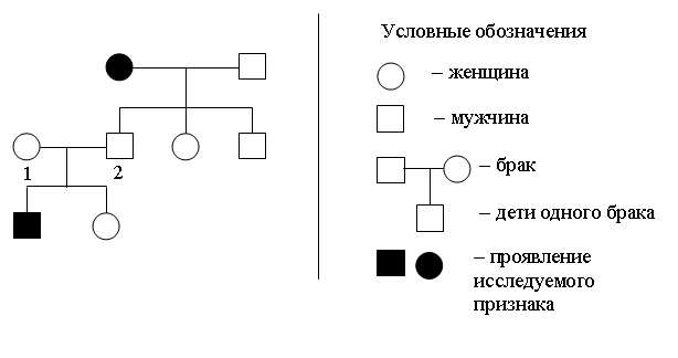 Рисунок к задаче