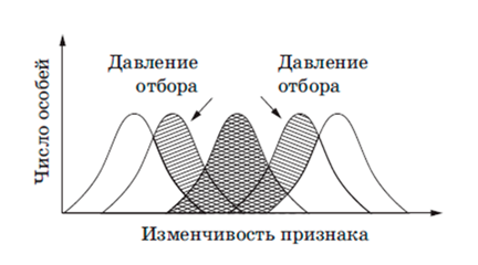 Рисунок к задаче