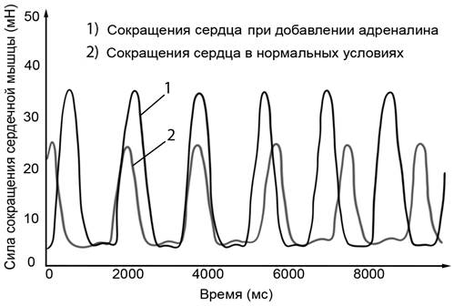 Рисунок к задаче