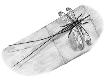 Рисунок к задаче