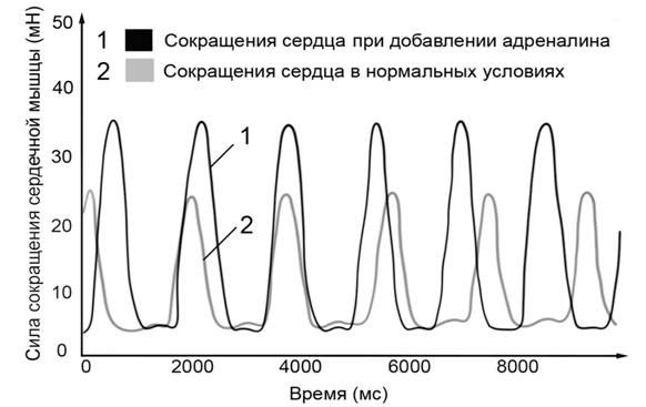 Рисунок к задаче