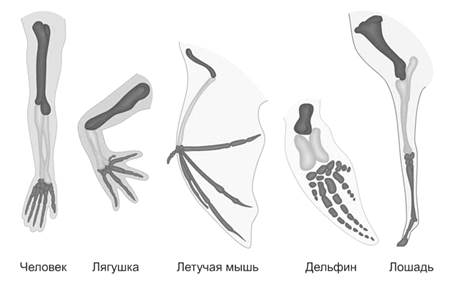 Рисунок к задаче