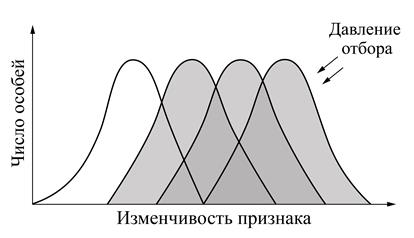Рисунок к задаче