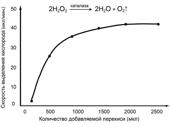 Рисунок к задаче